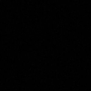 Meet your Posher, Lexie